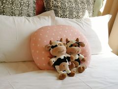 -优护佳月嫂育儿嫂中心(静安店)