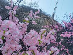 -黑龙潭风景区