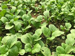 -廣味潮鲜·一品潮滋味(五道口店)