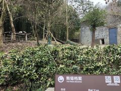 -都江堰中华大熊猫苑