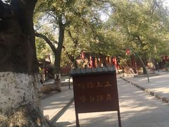 -关中书院