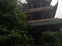 -四川大学博物馆