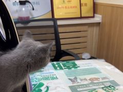 -瑞派宠物医院·24h·骨外科·皮肤科·全科宠物医疗转诊中心(沈阳浑南院)
