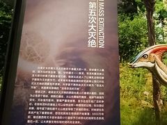 -湖南省地质博物馆