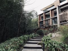 -青城山