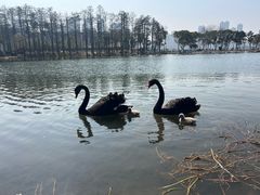 -武汉动物园
