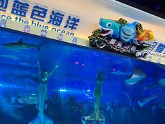 -成都浩海立方海洋公园