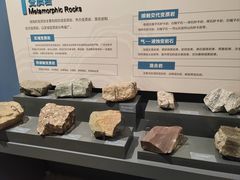 -湖南省地质博物馆
