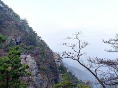 -庐山风景区花径公园