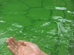 -融汇温泉