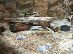 -香港海洋公园