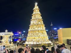 -海港城