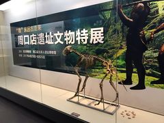 -嘉定博物馆