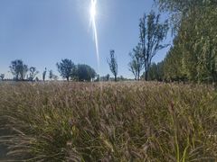 -汉长安城未央宫国家考古遗址公园