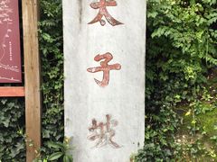 -武当山风景区-太子坡