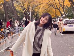 -三里屯东五街银杏大道