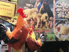 -食德喜·阳山鸡王食研基地