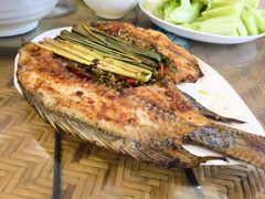 -岩保农家乐