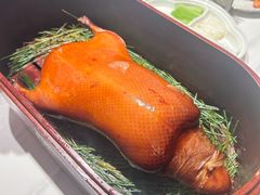 -鹿园 MOOSE(长宁店)