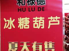 -和禄德冰糖葫芦