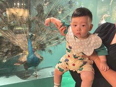 -温州博物馆