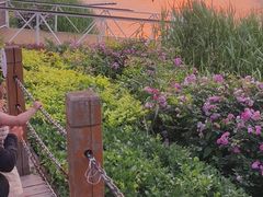 -稻香湖公园