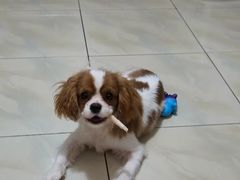 -美联众合24小时·皮肤科·外科·全科诊疗中心(华苑分院)