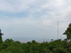 -南山植物园