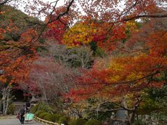 -清凉寺