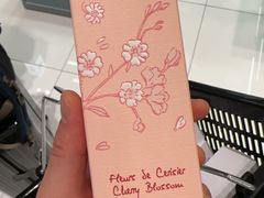 -关西国际机场直营免税店