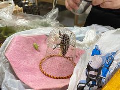 -万商花鸟市场