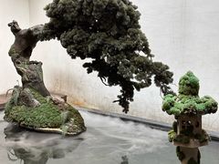 -觀芷隐轩