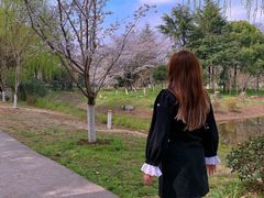 -堤角公园