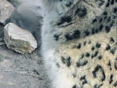 -青藏高原野生动物园