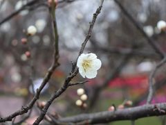 景点-上海海湾国家森林公园