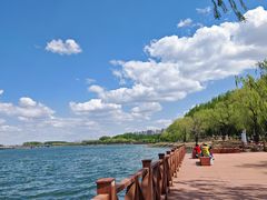 -丁香湖公园