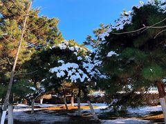 -长白岛森林公园