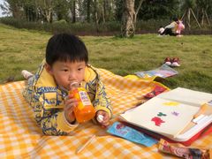 -重庆彩云湖湿地公园