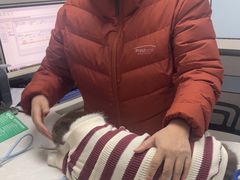 -中农国际动物医院24小时·猫科·骨科·急重症中心
