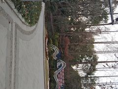 -徐家汇源景区-衡山公园