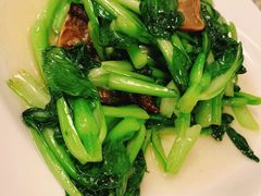 -新聚丰菜馆(太监弄店)