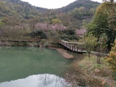 -东海大峡谷