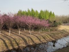 -东郊湿地公园