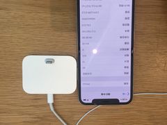 -Apple 零售店(Canton Road)