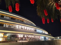 -野狸岛