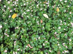 -保利石象湖景区