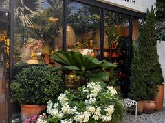 -自由生长植物工作室(深港花卉中心店)