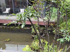 -大妙火锅·非物质文化遗产(东湖公园店)