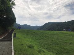 -龙坞茶村