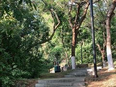 -燕晗山郊野公园